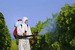 ندوة عن المبيدات الزراعية ومخاطرها البيئية 
