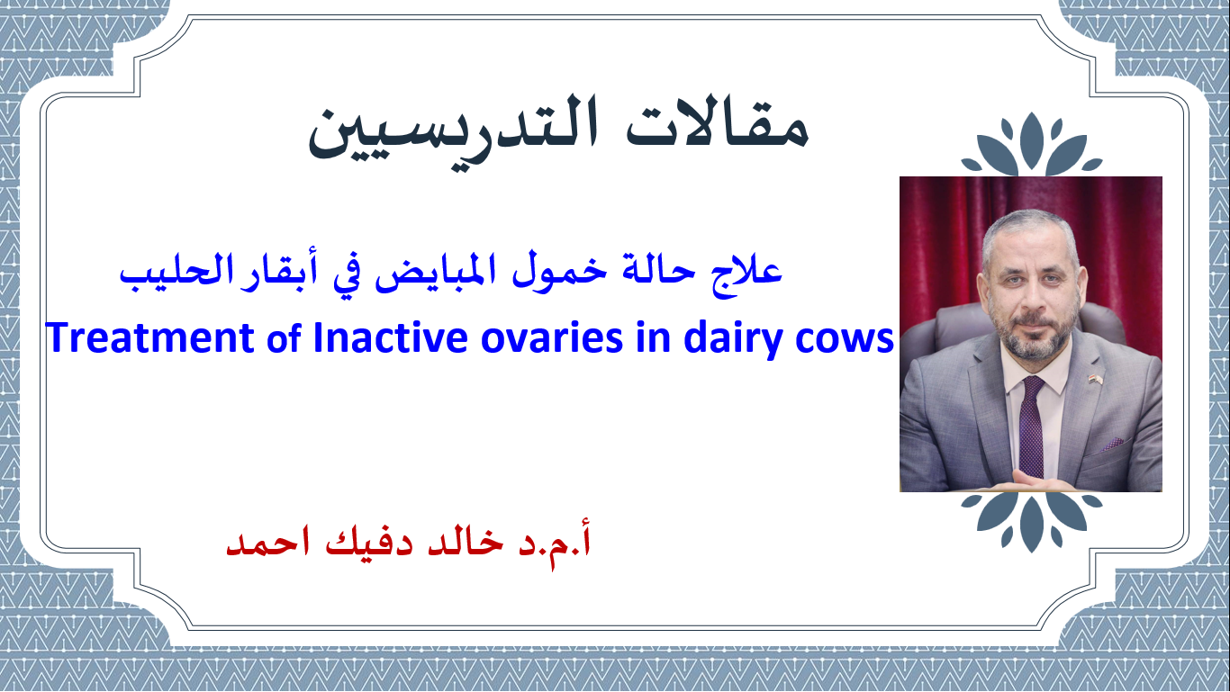 علاج حالة خمول المبايض في أبقار الحليب