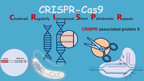 تقنية  CRISPR 