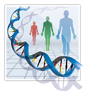 قواعد بيانات الوراثة البشرية