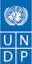 دورات UNDP