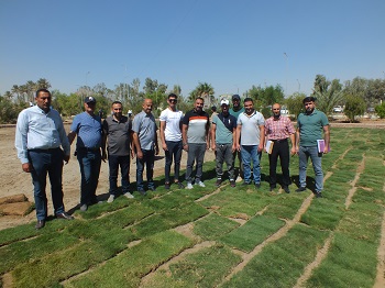  حملة جامعة الانبار واحة خضراء