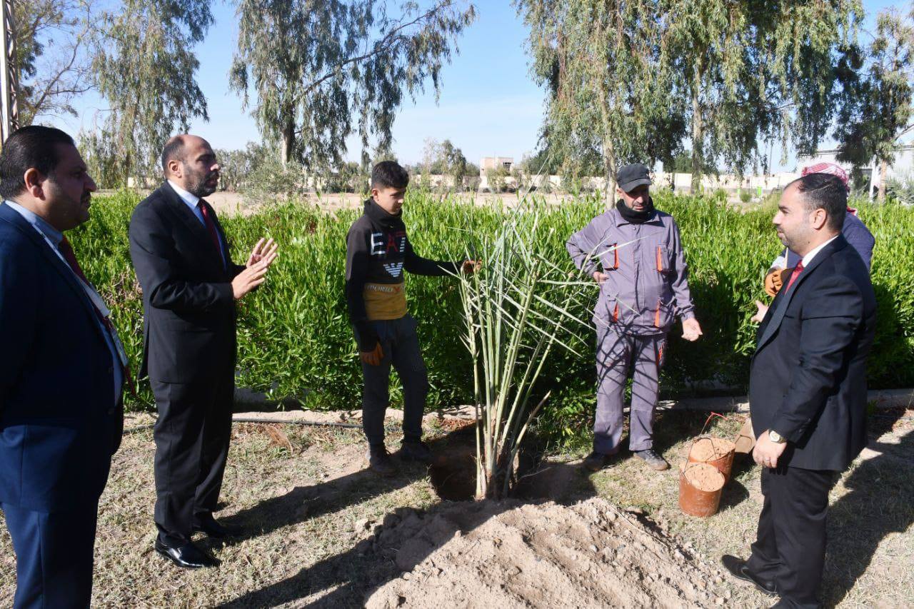 Launch of a campaign to plant palm tree seedlings at the Basic Education College/Haditha