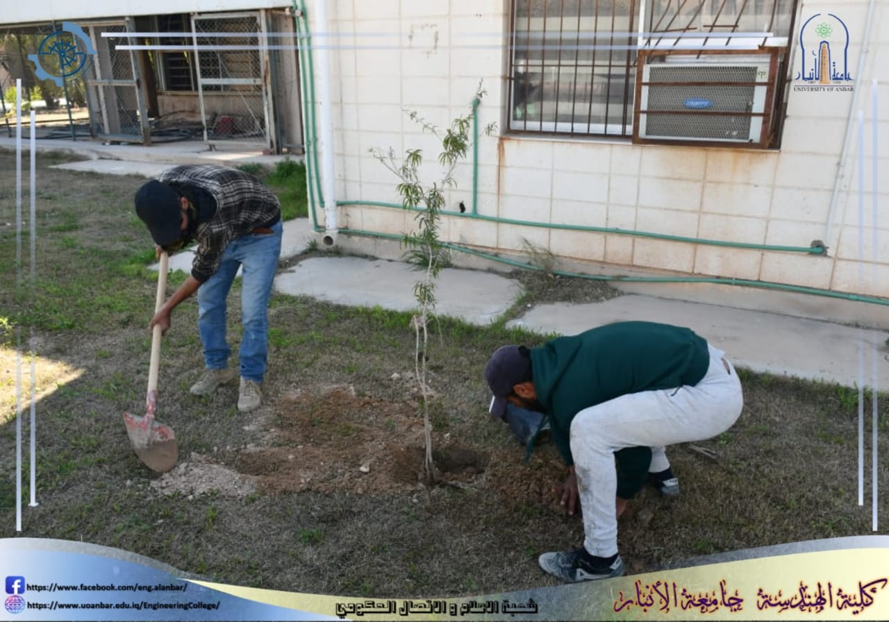  كلية الهندسة- جامعة الانبار تقوم بحملة تشجير تطوعية في حدائق الكلية