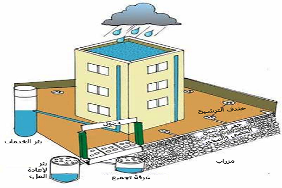 هل تمثل مشاريع حصاد المياه والسدود الصغيرة مستقبل معالجة شحة المياه؟