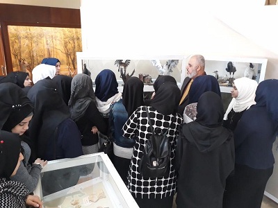 جامعة الانبار تستقبل طالبات ثانوية الرجاء للبنات لزيارة المتحف الحيواني